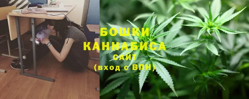 Каннабис Bruce Banner  Лесной 